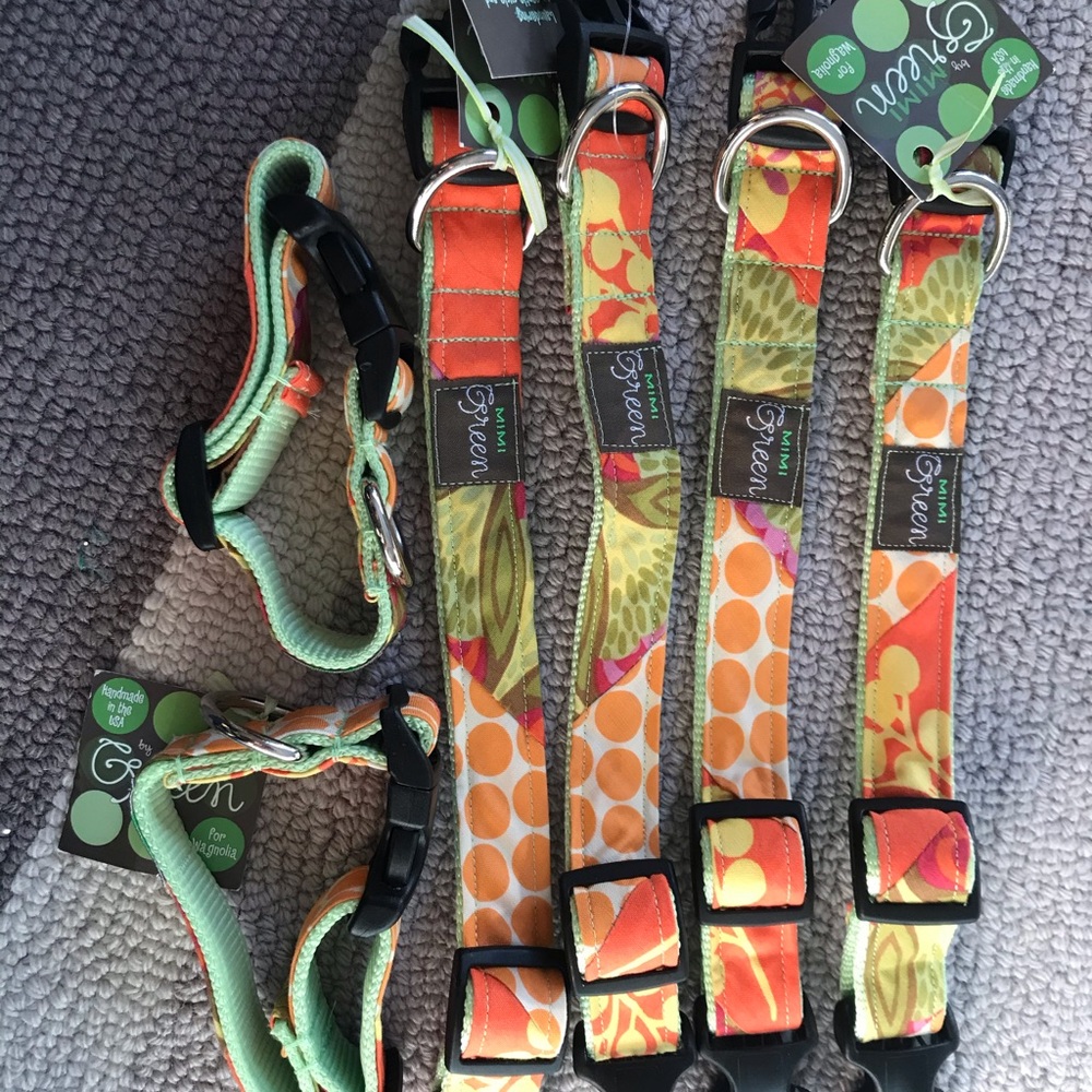 Dog collar (orange/green)